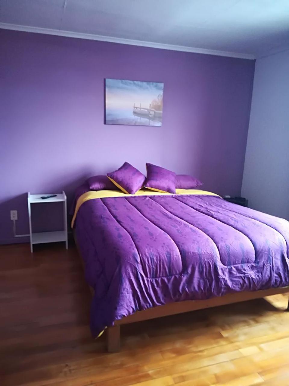Puq Casa Amigos Daire Punta Arenas Dış mekan fotoğraf